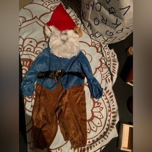 Garden Gnome Costume